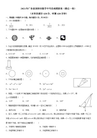 2021年广东省深圳市数学中考仿真模拟卷（最后一卷）