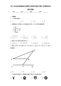 2021年山东省济南市天桥区九年级学业水平第二次模拟考试数学试题（word版含答案）