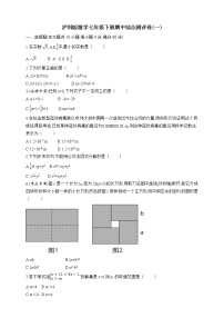 沪科版数学七年级下册期中综合测评卷(一)