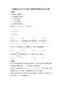 人教版2021年七年级下册数学期末综合复习题