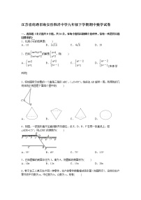 江苏省南通市海安县韩洋中学九年级下学期期中数学试卷【解析版】