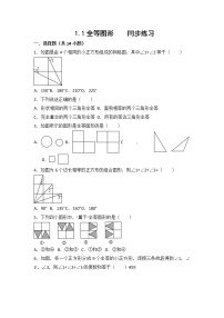 初中数学第一章 全等三角形1.1 全等图形当堂检测题