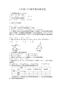 北师大版八年级下数学期末测试卷2及其解答