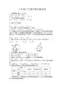 北师大版八年级(下)数学期末测试卷2