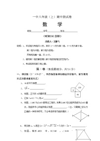 北师大版八年级（上）数学期中测试卷