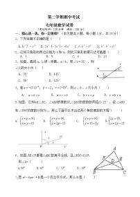 苏教版七年级下册数学期中考试七年级数学