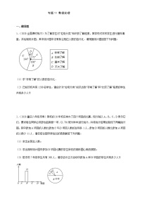 专项11 数据处理七年级数学下册培优专项（人教版）