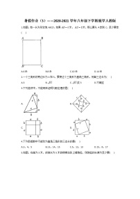 暑假作业（3）——2020-2021学年八年级下学期数学人教版