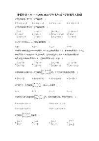 暑假作业（7）——2020-2021学年七年级下学期数学人教版