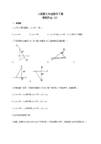 人教版七年级数学下册 暑假作业（2）