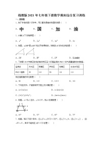 湘教版2021年七年级下册数学期末综合复习训练   word版，含详解