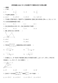 苏科版版2021年七年级数学下册期末复习训练试题（word版，含答案）