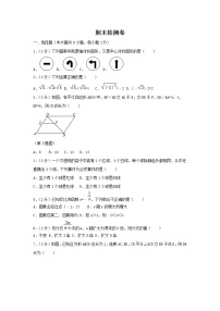 2020年 八年级数学下学期期末检测卷（新版）苏科版