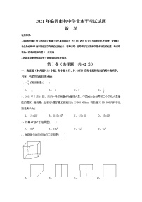 2021年山东省临沂市中考数学真题（Word版+无答案）