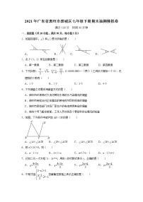 广东省惠州市惠城区2020-2021学年七年级下学期期末抽测数学模拟卷（word版 含答案）