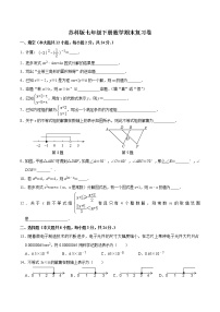 2020—2021学年苏科版数学七年级下册期末复习卷（含答案）