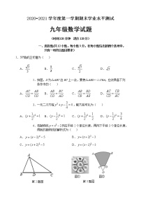 山东省聊城临清市2020-2021学年九年级上学期期末考试数学试题（word版 含答案）