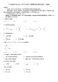 广东省东莞市2020-2021学年七年级下学期期末数学模拟试题（word版 无答案）