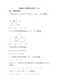 2020--2021学年人教版七年级数学下册期末复习专项训练（九）（word版 无答案）