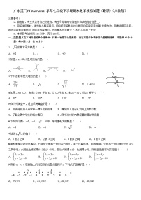 广东省江门市2020-2021学年七年级下册期末数学模拟试题（最新）