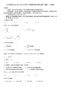 广东省东莞市2020-2021学年七年级下学期期末数学模拟试题 （word版 无答案）