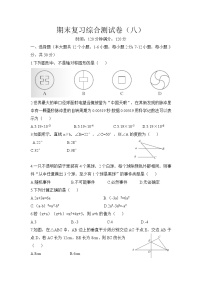 2020-2021学年北师大版七年级数学下册  期末复习综合测试卷（八）（word版 无答案）