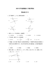 2020--2021学年浙教版七年级下册数学期末练习11（word版 含答案）