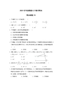 2020-2021学年浙教版七年级数学下册 期末刷题13（word版 含答案）