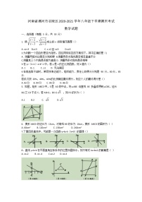 河南省漯河市召陵区2020-2021学年八年级下学期期末考试数学试题（word版 含答案）