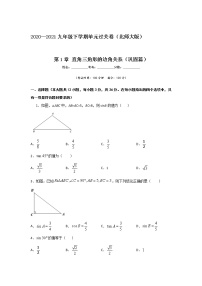 2021学年第一章 直角三角形的边角关系综合与测试达标测试