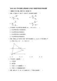 2020-2021学年鲁教版(五四制)七年级下册数学期末冲刺试题 （word版 含答案）