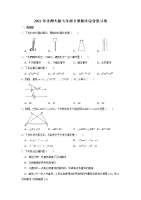 2021年北师大版七年级下册期末综合复习卷   word版，含答案