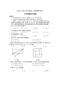 江苏省盐城市2020—2021学年七年级下册数学期末试卷（word版 无答案）