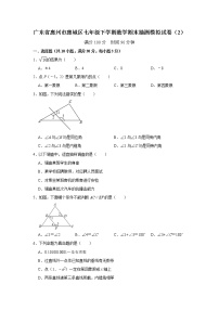 广东省惠州市惠城区2020-2021学年七年级下学期数学期末抽测模拟试卷（2）（word版 含答案）