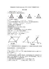 安徽省宿州市泗县2020-2021学年七年级下学期期末考试数学试题（word版 含答案）