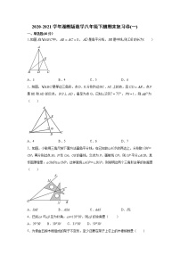 2020-2021学年湘教版数学八年级下册期末复习卷（word版 含答案）