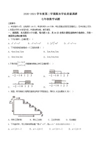 江苏省连云港市海州区2020-2021学年七年级下学期期末数学试题（word版 含答案）