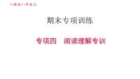 人教版八年级上册英语习题课件 期末专训训练 专项四　阅读理解专训