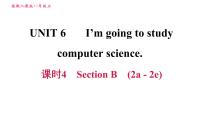 人教新目标 (Go for it) 版八年级上册Unit 3 I’m more outgoing than my sister.Section B习题ppt课件