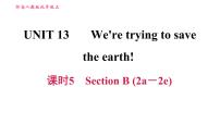 初中英语人教新目标 (Go for it) 版九年级全册Unit 13 We’re trying to save the earth!综合与测试习题课件ppt