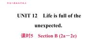 初中英语人教新目标 (Go for it) 版九年级全册Unit 12 Life is full of the unexpected综合与测试习题课件ppt