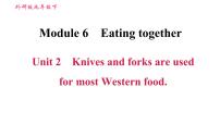 外研版 (新标准)九年级下册Unit 2 Knives and forks are used for most Western food.图片ppt课件