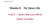 初中英语外研版 (新标准)九年级下册Module 8 My future life综合与测试习题ppt课件