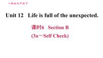 初中英语人教新目标 (Go for it) 版九年级全册Unit 12 Life is full of the unexpected综合与测试习题课件ppt