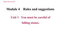 九年级下册Module 4 Rules and suggestionsUnit 1 You must be careful of falling stones.评课ppt课件