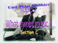 初中Topic 2 What sweet music!集体备课课件ppt