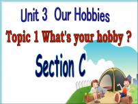 初中英语仁爱科普版八年级上册Topic 1 What's your hobby?授课ppt课件