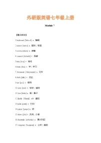 外研版 (新标准)七年级上册Revision module B学案