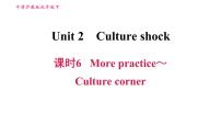 初中英语牛津版 (深圳&广州)九年级下册（2014秋审查）Module 1 Explorations and exchangesUnit2 Culture shock授课课件ppt