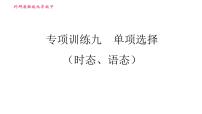 外研版九年级下册英语课件 中考专项训练 专项训练九 单项选择（时态、语态）